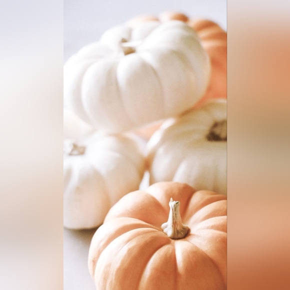 Instagrammmmm 🍂🍁 - Picture 12 of 12